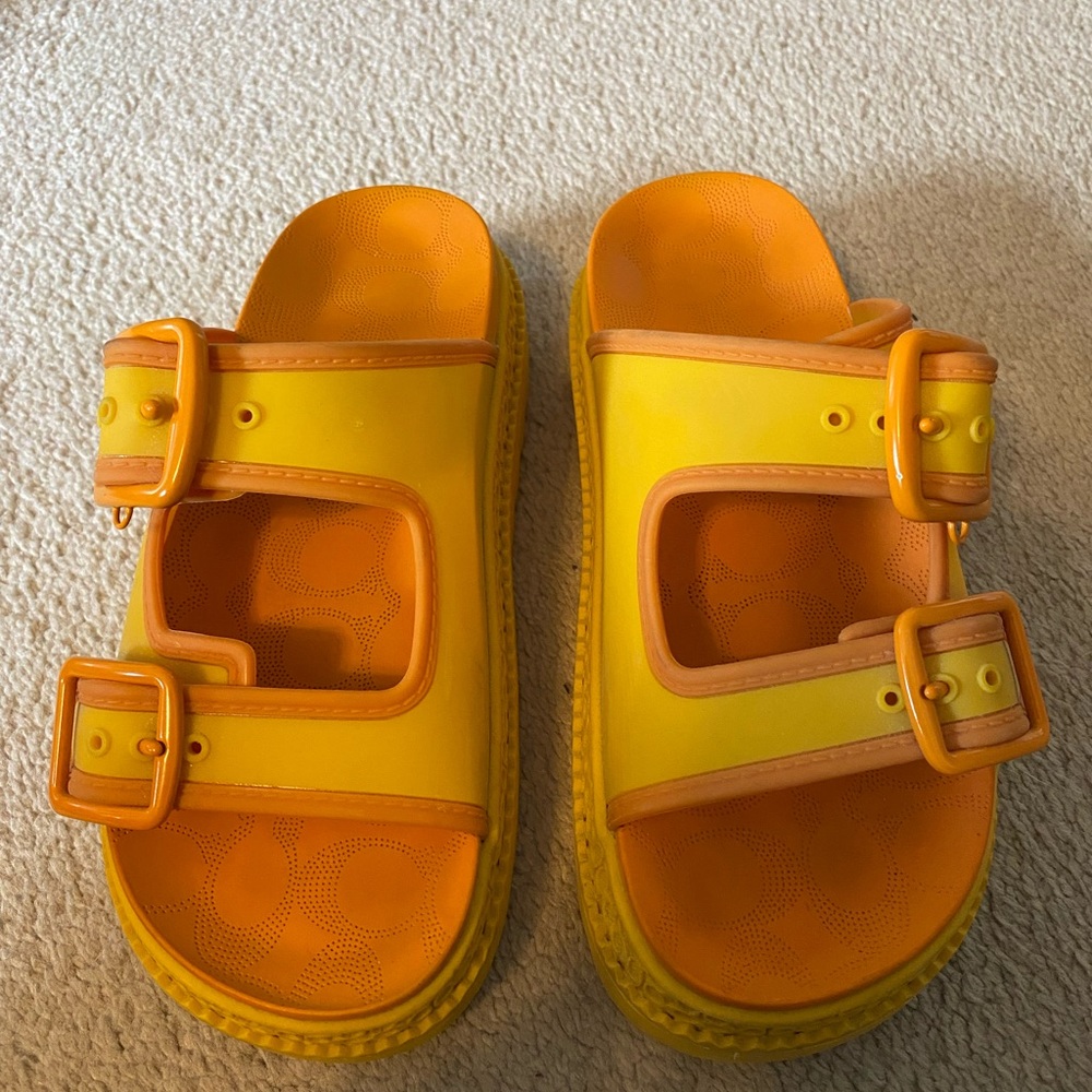 Coach Lucy Platform Sandal (5)